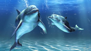 Как понять значение сна про дельфина
