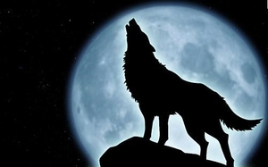 Слышать вой волка во сне