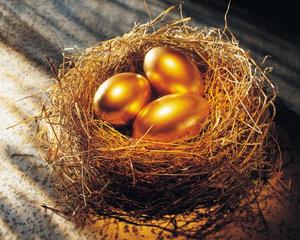 Золотые яйца птиц
